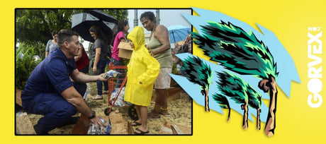 Calm After the Storm? The Hurricane Aftermath