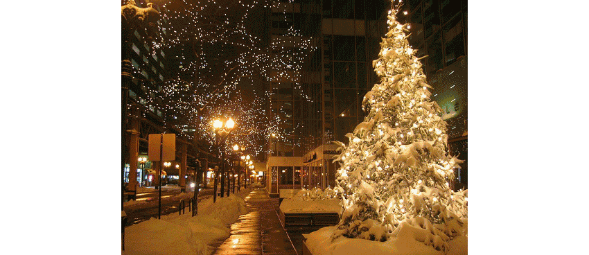 Christmas Lights Care & Caution