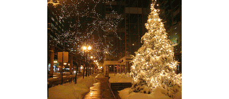 Christmas Lights Care & Caution