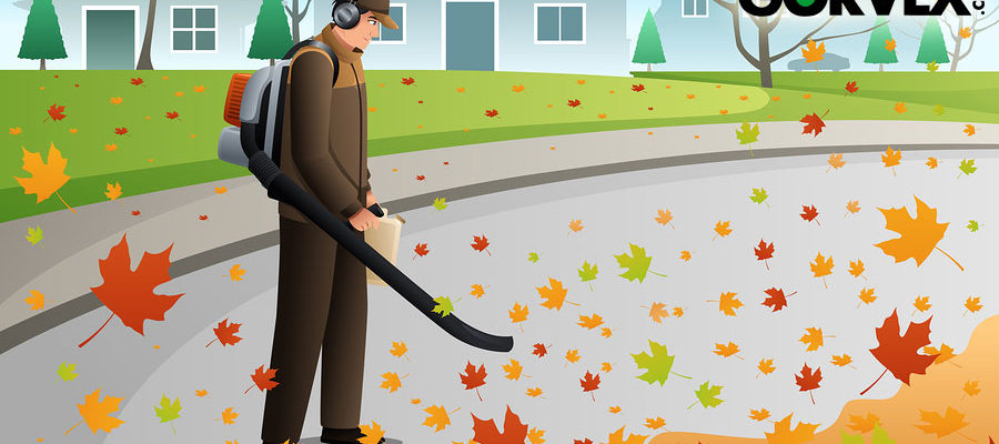 Fall Landscaping: What You Should Know Before You Go