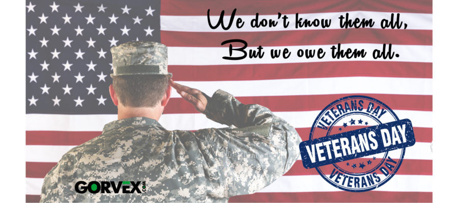 Veterans Day Vibes and Views