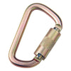 3M™ DBI-SALA™ Saflok™ Carabiner 2000112