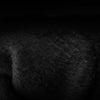 8 Seconds Glove Winter - Gorvex.com