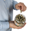 Moldex 6685 Camo Plugs Uncorded Disposable Earplugs, 1 jar (40 pairs)