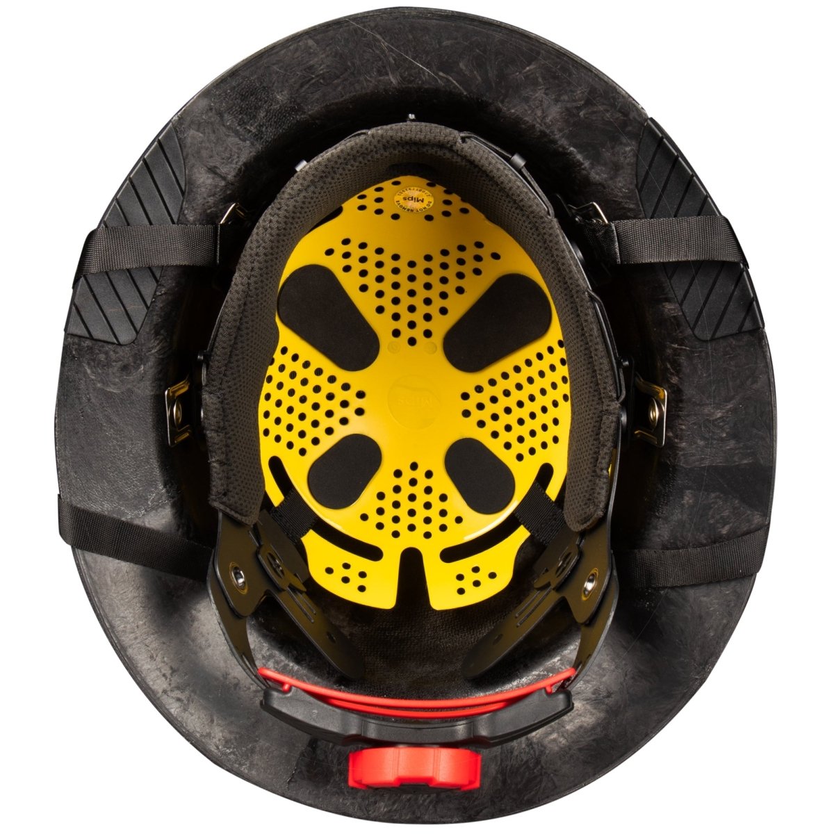 DAX Forged Carbon Gloss - Gorvex.com