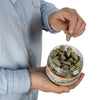 Moldex 6685 Camo Plugs Uncorded Disposable Earplugs, 1 jar (40 pairs) - Gorvex.com
