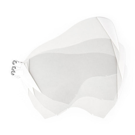 Moldex Faceshield Protector 0093 for 9000 Series Full Face Respirator, 1 bag (15 pieces) - Gorvex.com