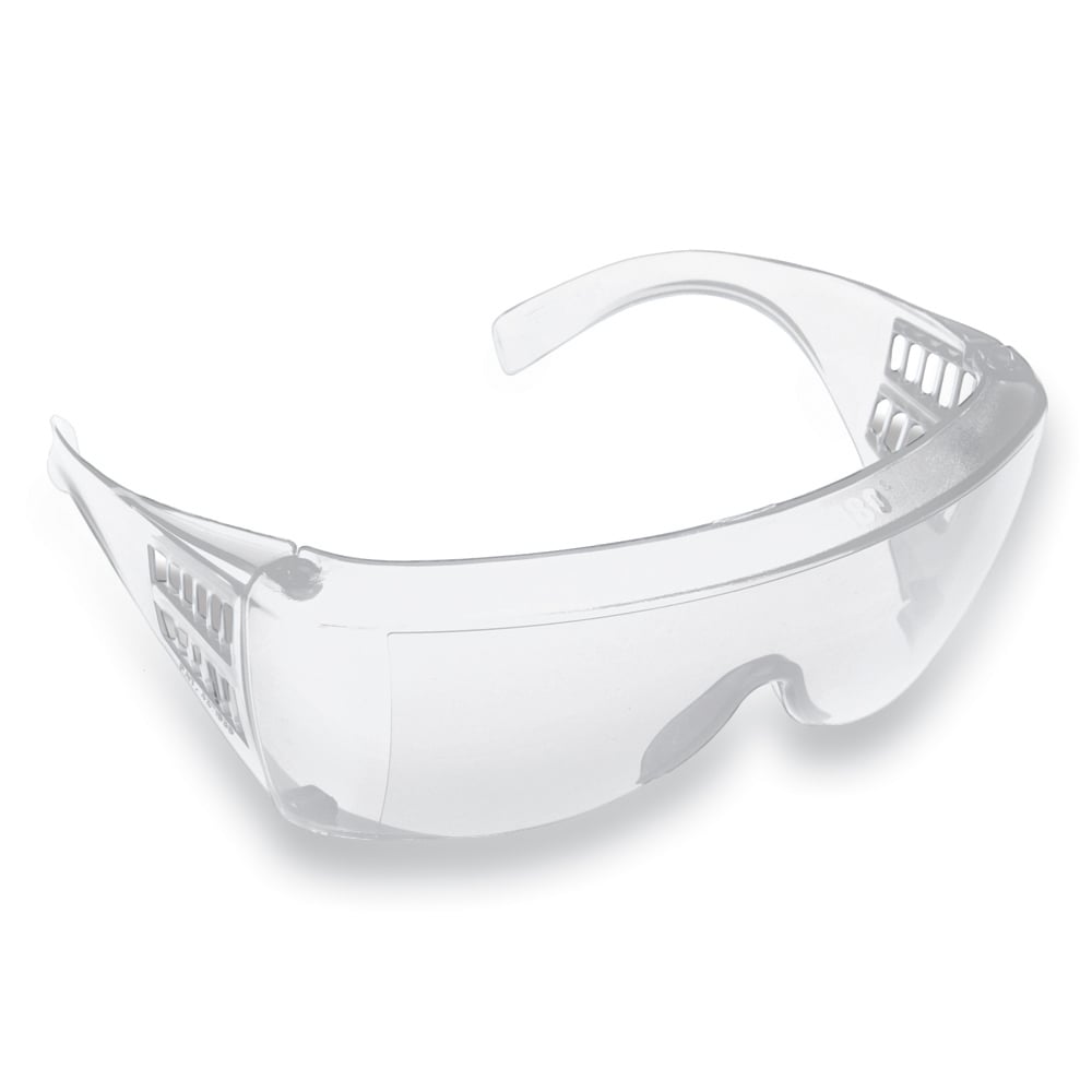 North Visitor Safety Glasses, Clear, 1 box (10 pairs)