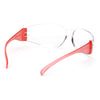 Pyramex Intruder Safety Glasses with Colored Temples, 1 pair